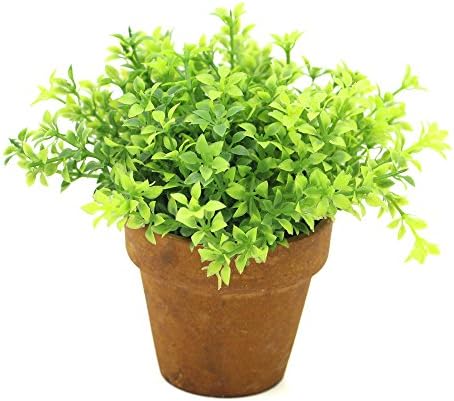 VIMI Small Artificial Foliage Plants Potted , Decor Bonsai for Home , Office and Garden Decorations , Five Petals , 6 inch