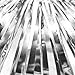 Silver Wedding Party Tinsel Foil Fringe Curtains Engagement Anniversary Birthday Baby Shower Happy New Year Christmas Retirement Graduation Event Celebration Party Photo Booth Backdrop Decoration, 2pc