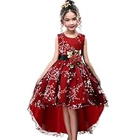 Formal Crystal Dresses Size 9 8 Vintage Satin High Low Girl Clothing Summer Sleeveless O Neck Flower Girl Dress Appliques Elegant Pleated A Line Clothes Lace Prom Party Mesh (PBurgundy, 140)