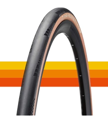 SCHWALBE PRO ONE TLE 700×28C　2本セット シュワルベ ワン TLEタイプ 700×28C(622) チューブレスレディ
