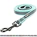Pawtitas 6 FT Padded Dog Leash with Comfortable Neoprene Padding Handle - Teal Lead | Medium Reflective Dog Leash with Highly Reflective Band Perfect for Medium and Large Dogs and Puppies.