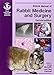 BSAVA Manual of Rabbit Medicine and Surgery by 