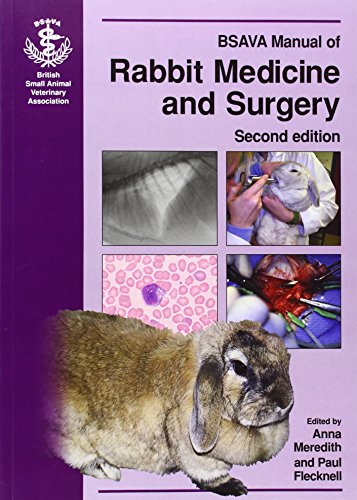 BSAVA Manual of Rabbit Medicine and Surgery by 