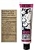 Entube Organic Umeboshi Chili Paste, All Natural Sweet Spicy Umeboshi Plum Paste, Chili Paste Flavor Enhancer, Cayenne Pepper Plums Japanese Paste Non-Gmo Savory Spice Seasoning (Umeboshi Chili Paste)