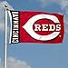 Cincinnati Reds Flag 3x5 Banner
