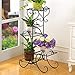 ZGXY Plant Stand Metal Flower Holder Pot with 4 tier Garden Decoration Display Wrought Iron 4 Layers Planter Rack Shelf Organizer for Garden Home Office Black