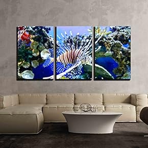 3 Piece Canvas Wall Art - Marine Tropical Fish. Colorful Exotic Little Fish - Modern Home Art Stretched and Framed Ready to Hang - 16"x24"x3 Panels
