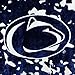 College Covers Penn State Nittany Lions Soft Rachel Plush Throw Blanket, 63 x 86