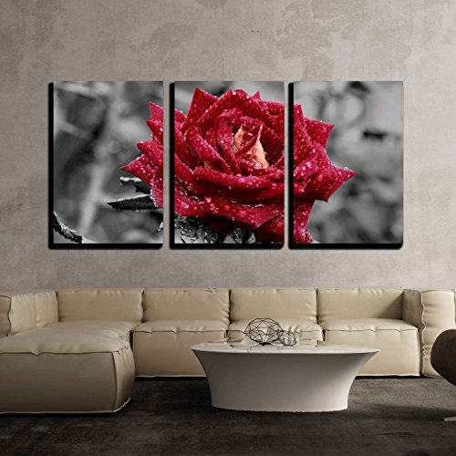 Flower Wall Art Discover the Best Floral Wall Art Decor Home Wall