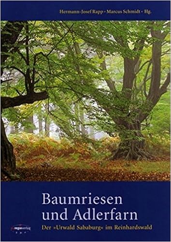 Baumriesen Und Adlerfarn Der Urwald Sababurg Im Reinhardswald Amazon De Hermann Josef Rapp Marcus Schmidt Bucher