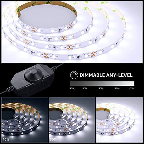 LE 5 m Dimmable LED Strip Set, Cool White, 12 V, Self-Adhesive LED Strip, Flexible LED Strip, LED Light Strip, Power Supply And Controller Included