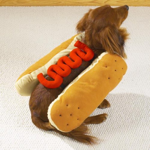 Ketchup Hot Dog Halloween Costume - Large - Pet Costume by Pet Customes