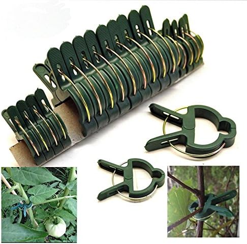 Dotop Plant Flower Clips for Supporting Stems 20 Pcs