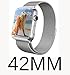 GEOTEL 42mm Milanese Loop Stainless Steel Bracelet Strap Band for Apple Watch Series 1 Series 2 Sport&Edition with Unique Magnet Lock(No Buckle Needed) (42mm-Silver)