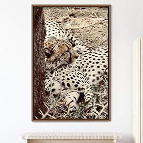 signwin Framed Canvas Wall Art Cheetah Animals Cheetah...