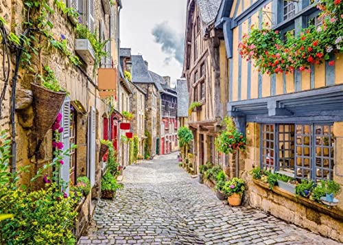 BELECO 3 x 2,4 m Stoff mit italienischem Thema, Frühling, Blume, Straße, Landschaft, Europa, Architektur, Hintergrund, Urlaub, Reisen, Italien, Hinter