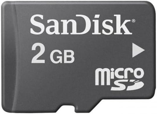 SanDisk 2 GB MicroSDHC Card Only Standard Packaging
