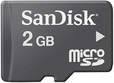 SanDisk 2 GB MicroSDHC Card Only Standard Packaging