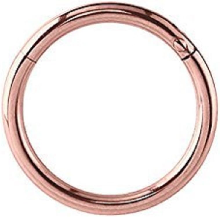 pavlos Hinged Segment Ring,Seamless,Endless Septum Ring,Tragus Piercing Jewelry,Helix,Cartilage,Scaffold,Upper Ear,Segment Ring,Lip Ring,Nipple Ring,Endless Hoop Earring