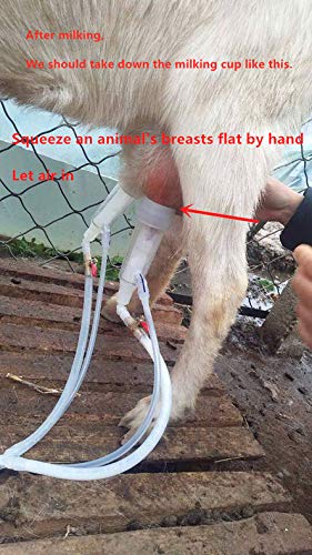 2 Futt+Electric+Pulsation+Milking+Optional