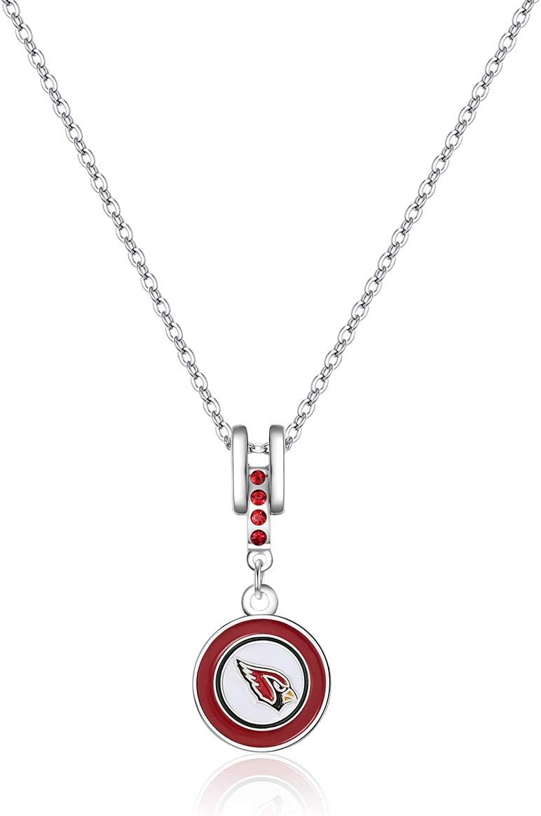 Pro Specialties Group NFL Dallas Cowboys Charm Necklace Silver, 16" Chain - 5/8 x 1 3/8 Charm : Clothing
