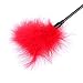 Demarkt Red Adult Naughty Bondage Spanking Whip Feather Tickler For Sex SM Role Play