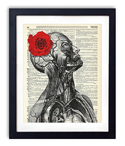 Human Anatomy Illustration With Red Rose Vintage Upcycled Dictionary Art Print 8x10