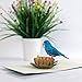CUTPOPUP BlueBird Pop Up Card, Mothers Day Card, Fathers Day Card Pop Up, Birthday 3D Greeting Card for Grandpa, Dad, Husband, Son