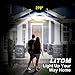 LITOM 100 LEDs Solar String Lights, 33ft Outdoor String Lights 8 Modes Waterproof Decorative Fairy Light for Patio Garden Gate Yard Party Wedding Christmas Thanksgiving Halloween 2 Pack(Blue)