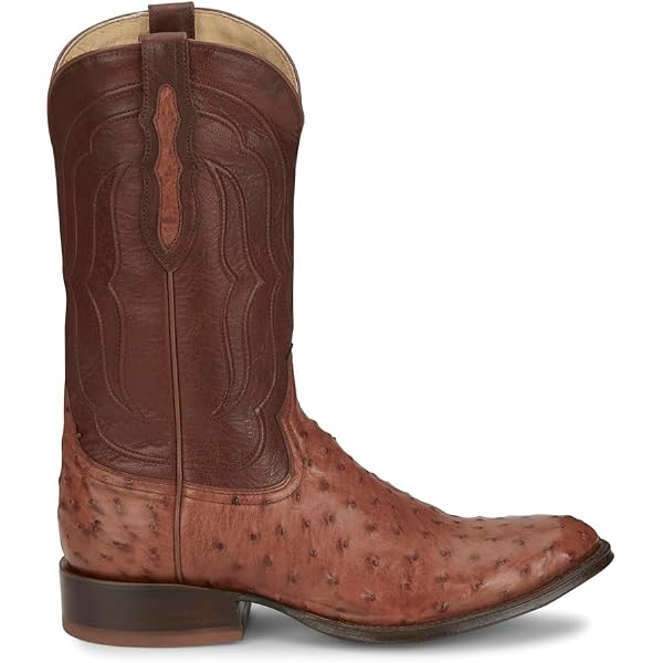 Amazon.com | Tony Lama Mens Canonero 12 Inch Full Quill  display picture 1