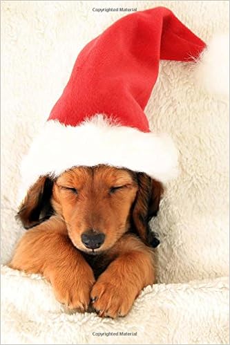 dachshund santa hat