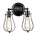 Csinos Industrial Wall Light, Vintage Light Fixture Rotatable Black Wire Cage Wall Sconce Light Fixture (2 Light)