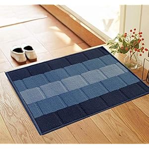 Status Polypropylene Anti Slip Floor Door Mat in Home Kitchen Office Entrance Mats (38×58 cm) (Blue)