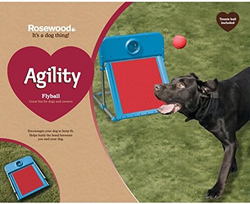 agility flyball