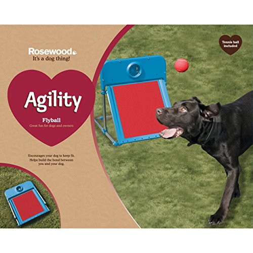 Agility Flyball Dog play & exercise toy Dog Training