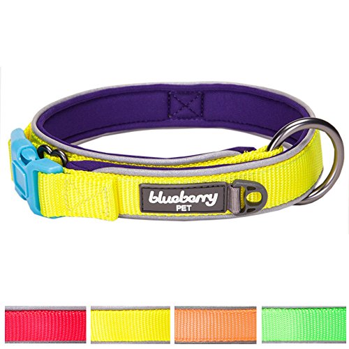 Buy Blueberry Pet 4 Colors Soft & Comfy Summer Hope 3M Reflective