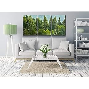 3 Piece Canvas Wall Art - Forrest of Green Pine Trees on Mountainside with Rain - Modern Home Art Stretched and Framed Ready to Hang - 16"x24"x3 Panels