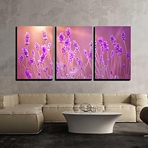Sunset Over a Lavender Field - Canvas Art Wall Art - 16"x24"x3 Panels