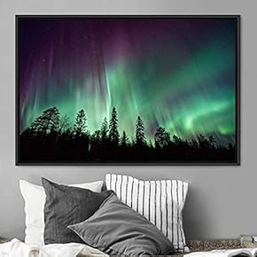 signwin Framed Canvas Wall Art Dayspring Astronomy &...