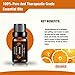 Essential Oils Gift Set Top 6 - 100% Pure & Therapeutic Grade 10ml