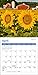 Sunflowers Mini Wall Calendar 2017