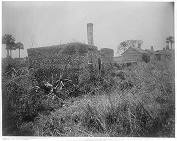 Amazon Com Vintography 8 X 12 Photo Ruins The Slave Cabins Ft