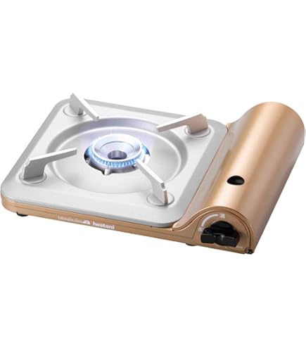 Iwatani Corporation of America BBQ Plaat groot CB-P-Y3, Aluminium, Zwart