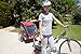 Allen Sports Premium Aluminum 2 Child Bicycle Trailer and Stroller