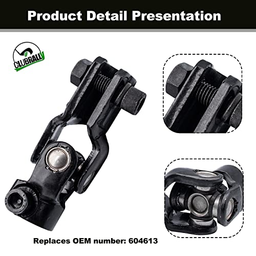 513adv4WymL.jpg