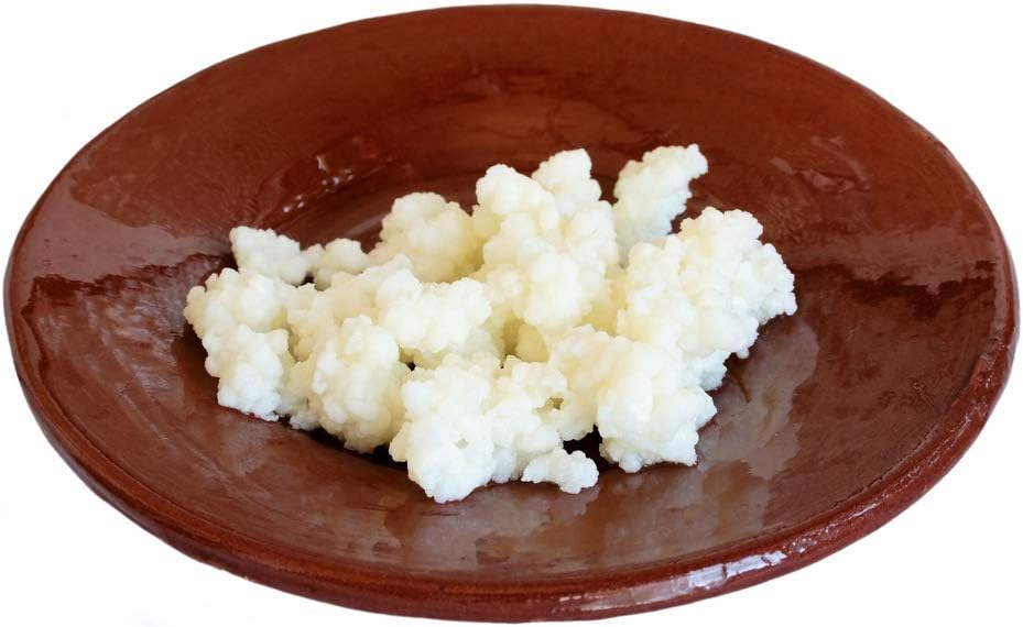 RAW Organic Milk Kefir Grains by Crave Longevity