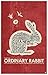 Monty Python, Holy Grail, That is No Ordinary Rabbit Giclee Art Print Poster from Typography Drawing by Pop Artist 12