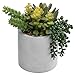 MyGift 7-Inch Artificial Succulent Plant Arrangement in Cement-Tone Planter