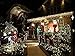 Autolizer 100 LED PURPLE Fairy String Lights Lamp for Xmas Tree Holiday Wedding Party Decoration Halloween Showcase Displays Restaurant or Bar and Home Garden - Control up to 8 modes