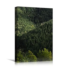 signwin Canvas Wall Art Green Forest Dramatic Forest...